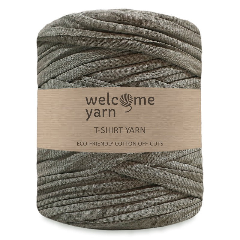 T-shirt Yarn Pale Grey-Green