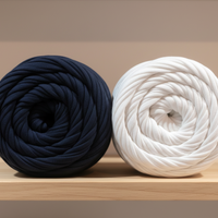 Lot de 2 pelotes de fil à t-shirt