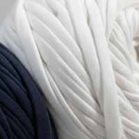 Lot de 2 pelotes de fil à t-shirt