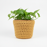 Barbante XL Pastel Yellow